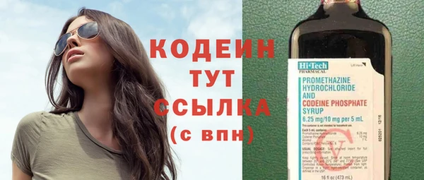 прущий лед Каменка