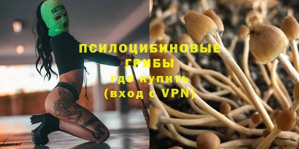 прущий лед Каменка
