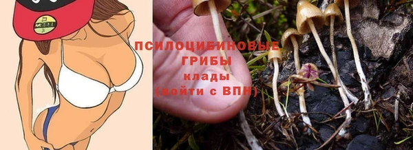МДПВ Каменск-Шахтинский