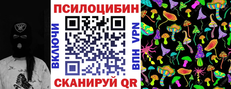 Псилоцибиновые грибы мухоморы  где купить наркоту  Плавск 