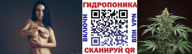 дарнет шоп  Плавск  Каннабис марихуана 